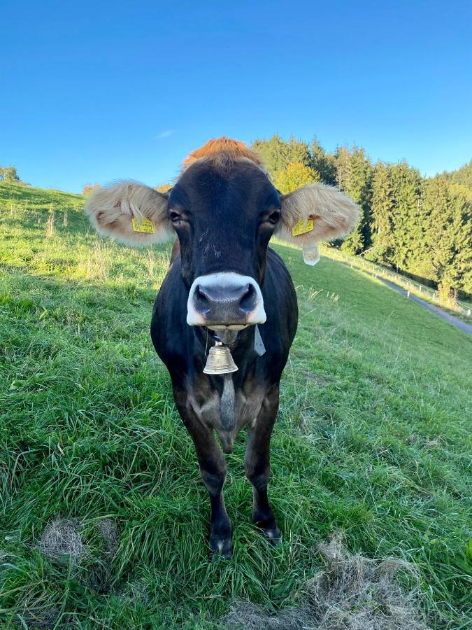Ferienwohnung Bergblick Wangen Im Allgaeu Mit Garten, 2022 Komplett Renoviert Exteriör bild